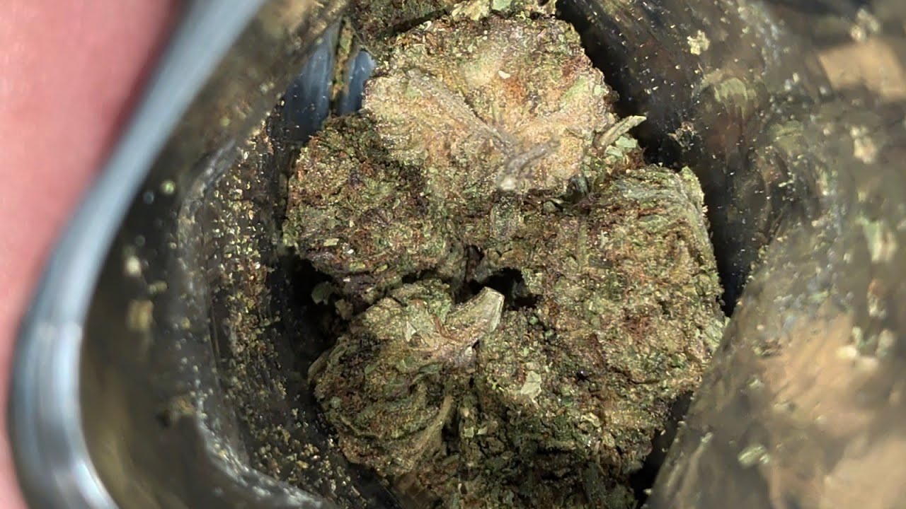 THCA SMALL BUDS | Gorilla Cake | Gorilla Grove | POTENT but Disappointing... 🦍🍰🗑️Thca Review!!