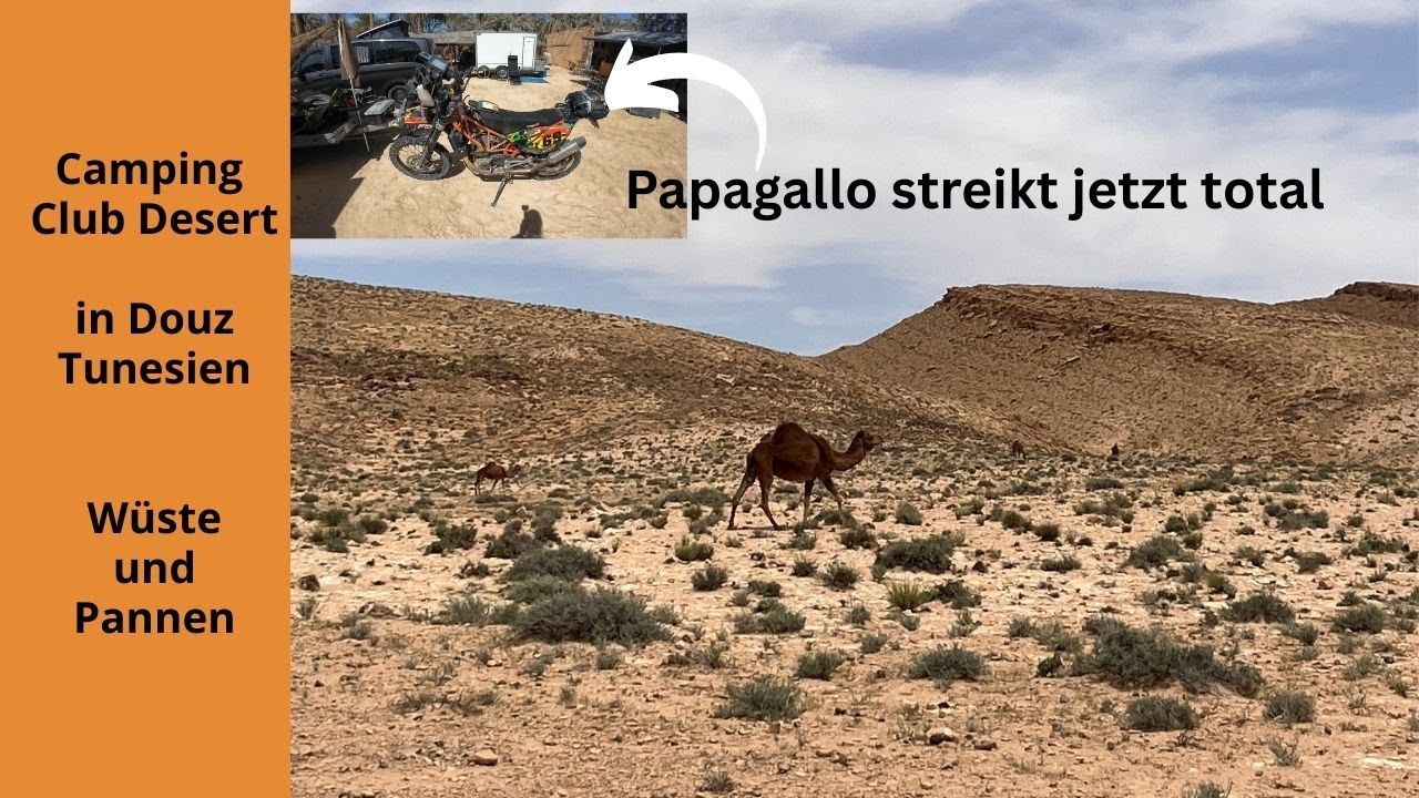 Camping Club Desert in Douz_Tunesien E3