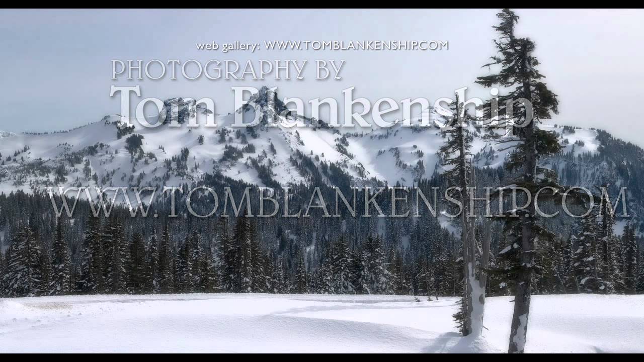 Panorama: The Tatoosh Range viewed from Paradise in Mt. Rainier National Park
