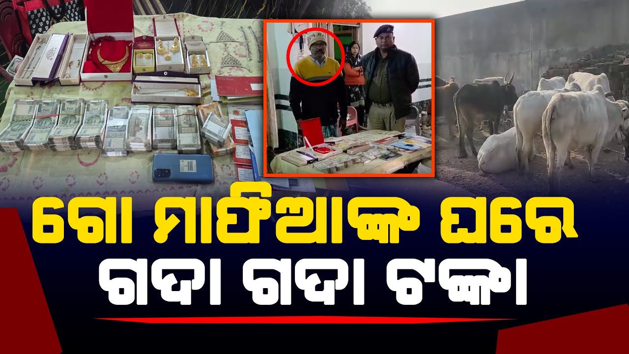 ଗୋମାଫିଆଙ୍କ ଶହେ କୋଟିର ସମ୍ପତ୍ତି, ସପିଙ୍ଗ ମଲ୍ଲ, ନର୍ସିଂ କଲେଜ ସିଲ l Satej News l Bhadrak l Odisha