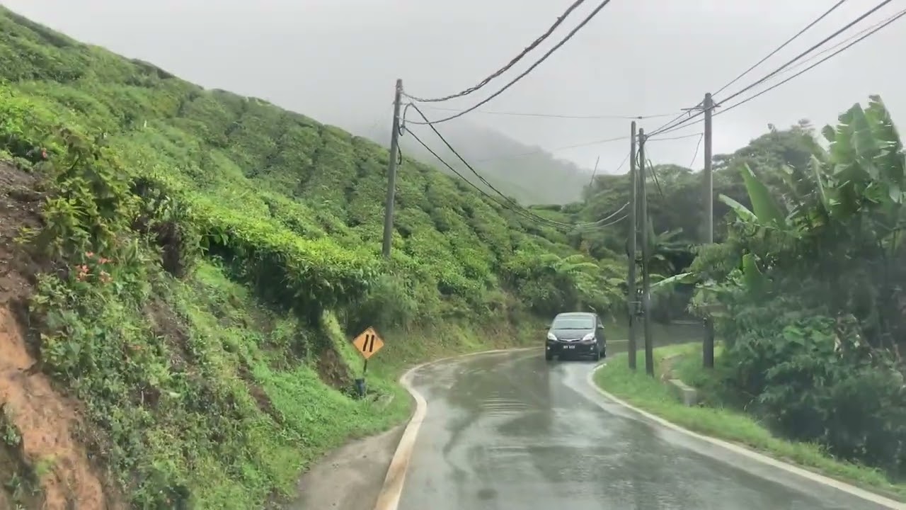Tropical Rain in Cameron Highlands, Malaysia (March 2023)