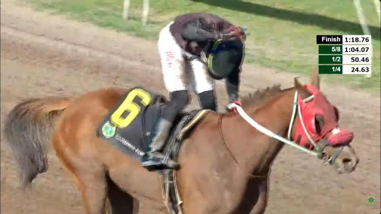 JAMAICA RACING: Prince Marshall Takes Sat, Jan 31, 2026
