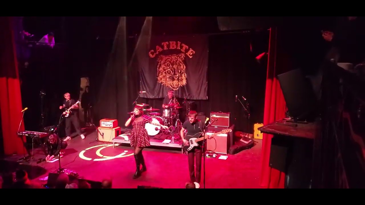 CATBITE