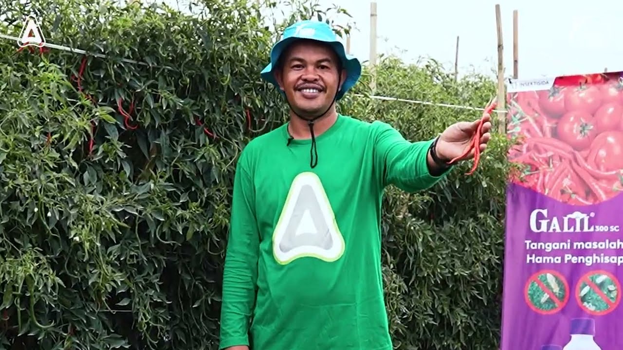 Kawantani Berbagi Cerita - Si 