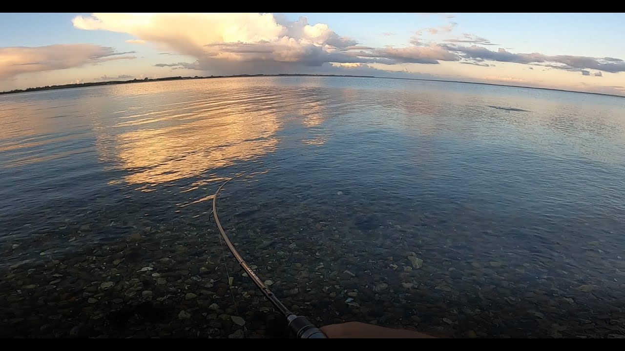 Dejlig aften mellem regnbygerne:  Limfjorden 14. september 2025