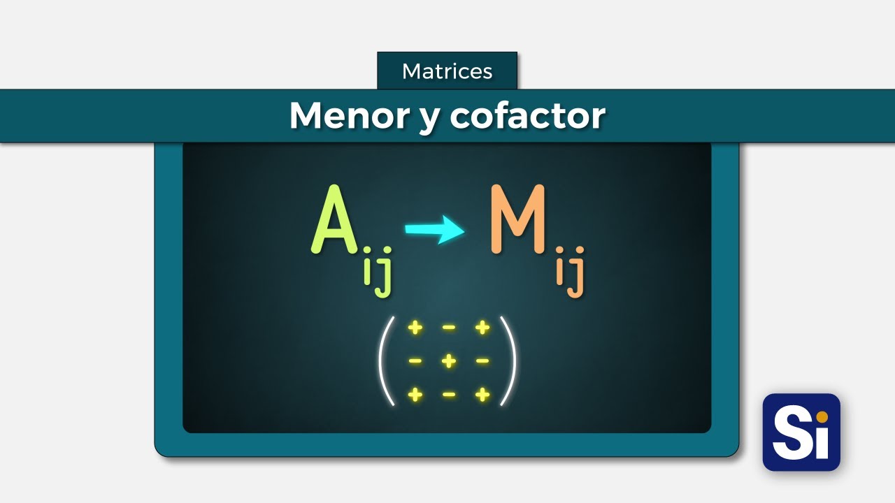 Menores y cofactores de una matriz cuadrada | Menor de un elemento | Cofactor de un elemento