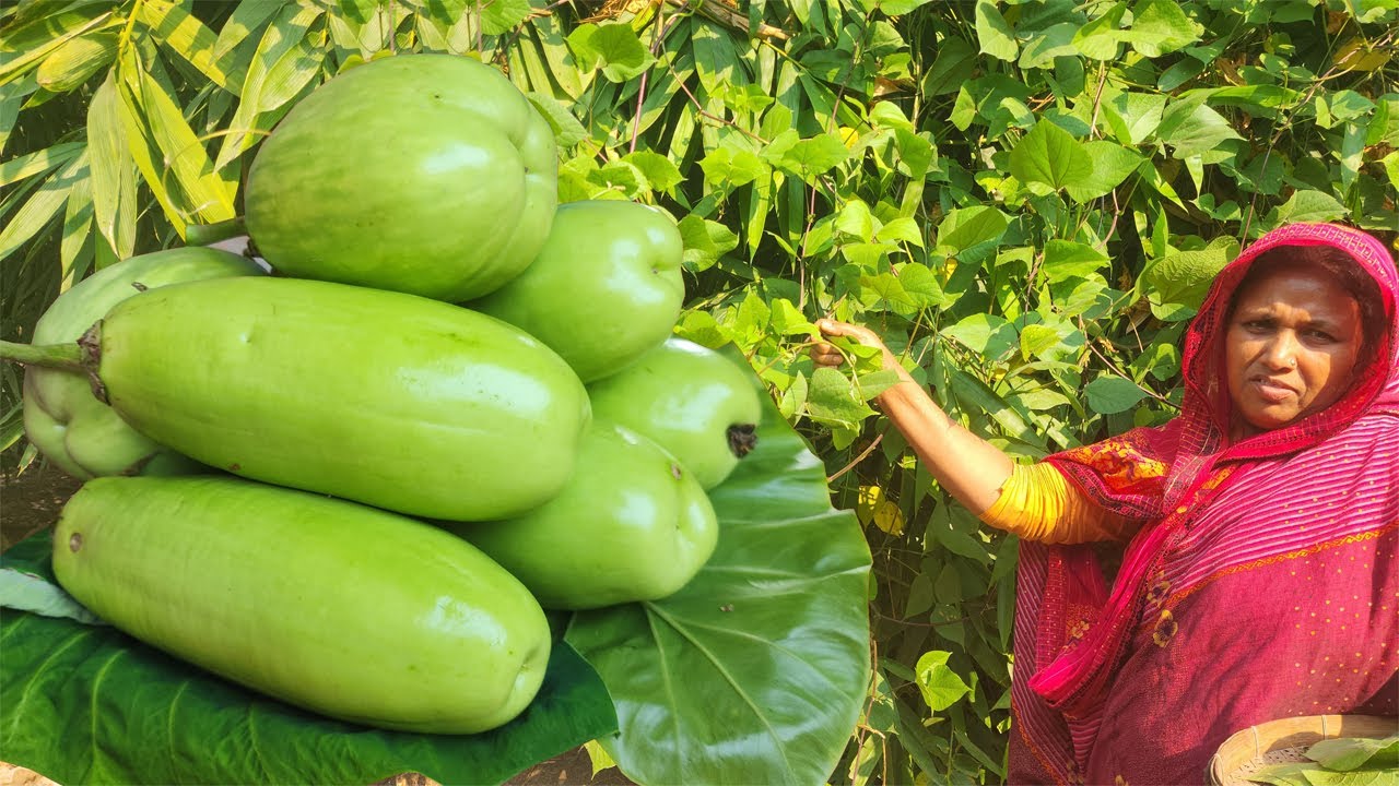 মাছ দিয়ে সিম পাতা ভর্তা রেসিপি আর কম তেলে বেগুন ভাজার নিনজা টেকনিক Bean Leave Fish Paste Brinjal Fry