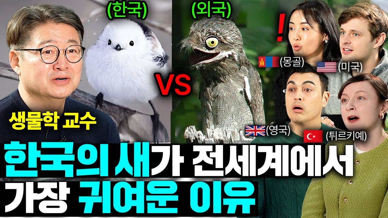 요즘 한국의 새가 점점 줄어드는 이유(참새가 줄어들면 벌어지는 일ㅣ국경없는 클래스 EP.2