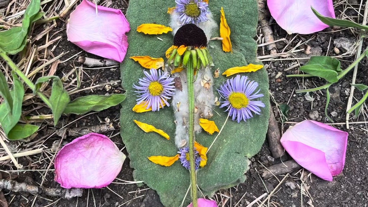 How to create a beautiful gratitude ceremony inspired by the wisdom keepers of the Andes
