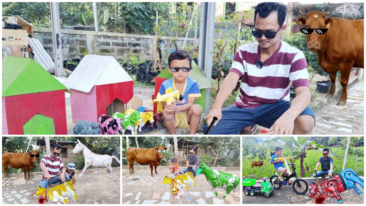 FULL 5 EPISODE -  EDISI WADIDAU ‼️PROSES POTONG SAPI MOO KURBAN