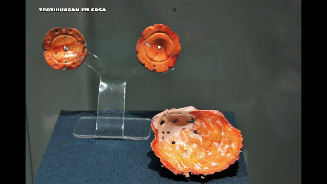 BUZOS Y SPONDYLUS EN TEOTIHUACAN