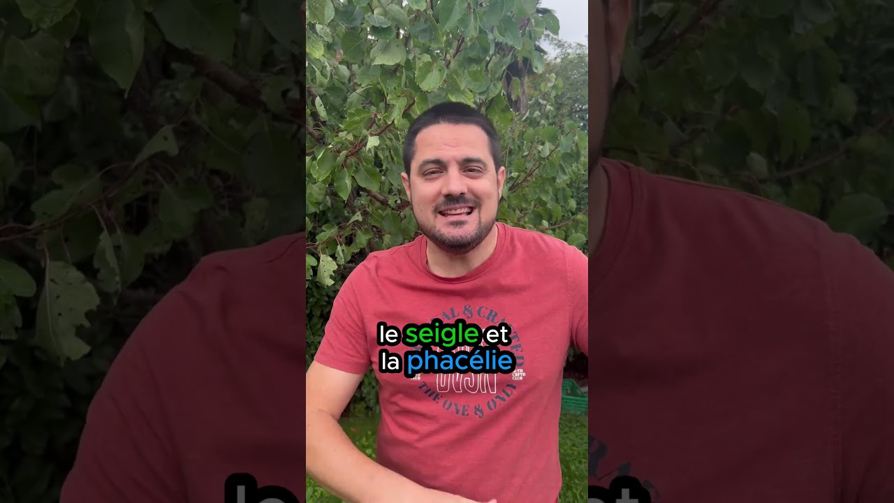 Comment utiliser les engrais verts au jardin potager?