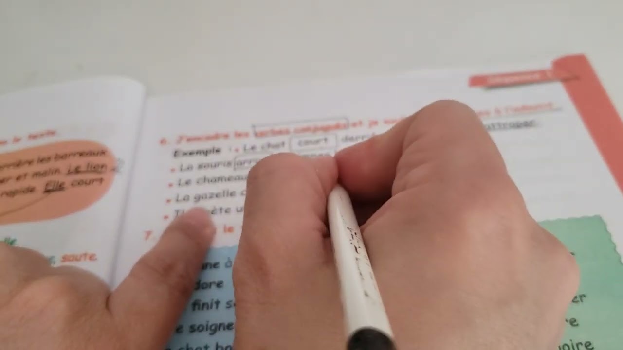 @apprendrelefrancaisavecmai3868 5AP🤩حلول تمارين كتاب الأنشطة 13للفرنسية صفحة
