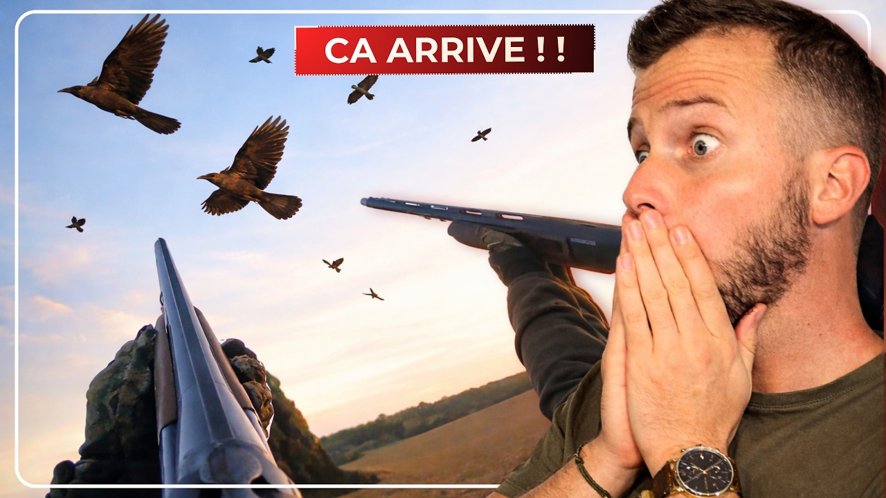 CHASSE AUX CORBEAUX (des nuages d'oiseaux)
