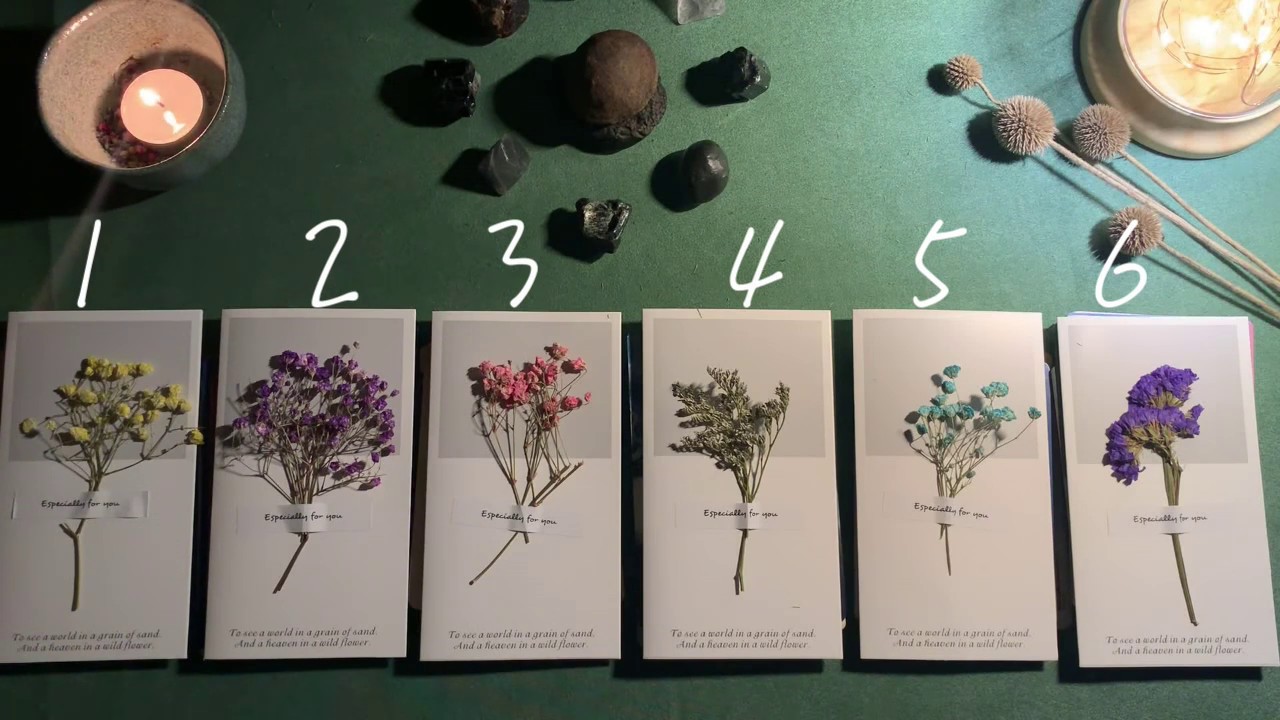 我的指導靈（守護神）是誰？當下人生及靈性指引? 《塔羅靈性占卜》Pick a card🌈