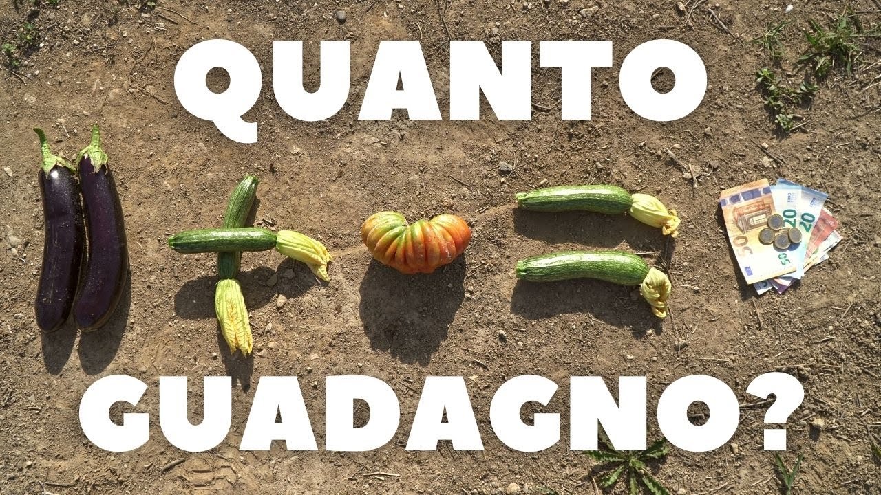 COSA TI SERVE PER VENDERE I TUOI ORTAGGI? (i miei primi incassi)