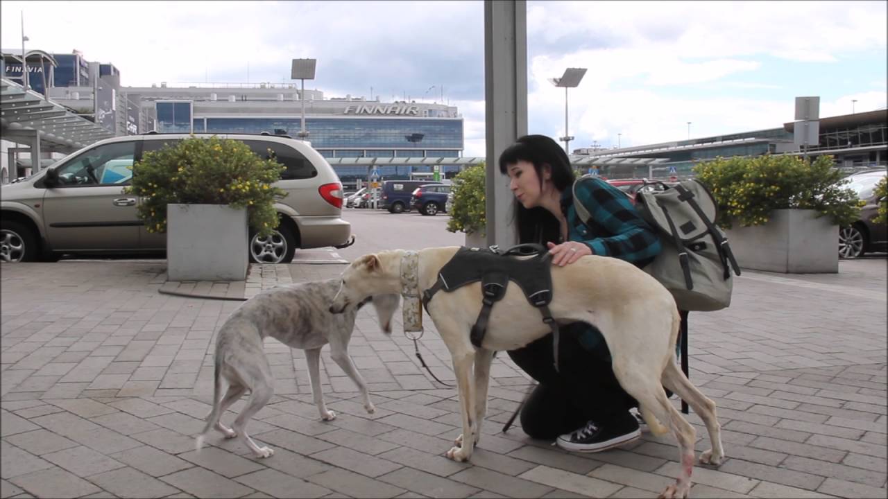 Isla (Isabelle) from Scooby Medina arrives in Finland