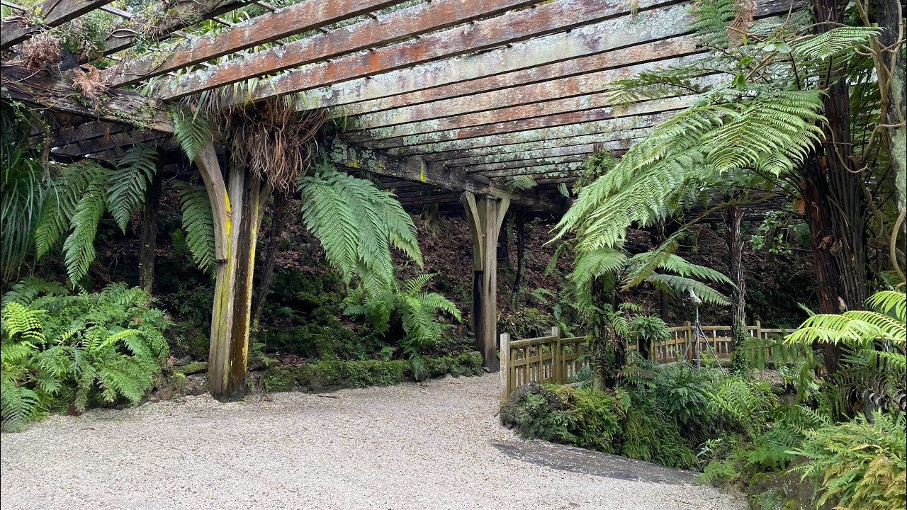 The Fernery Upload