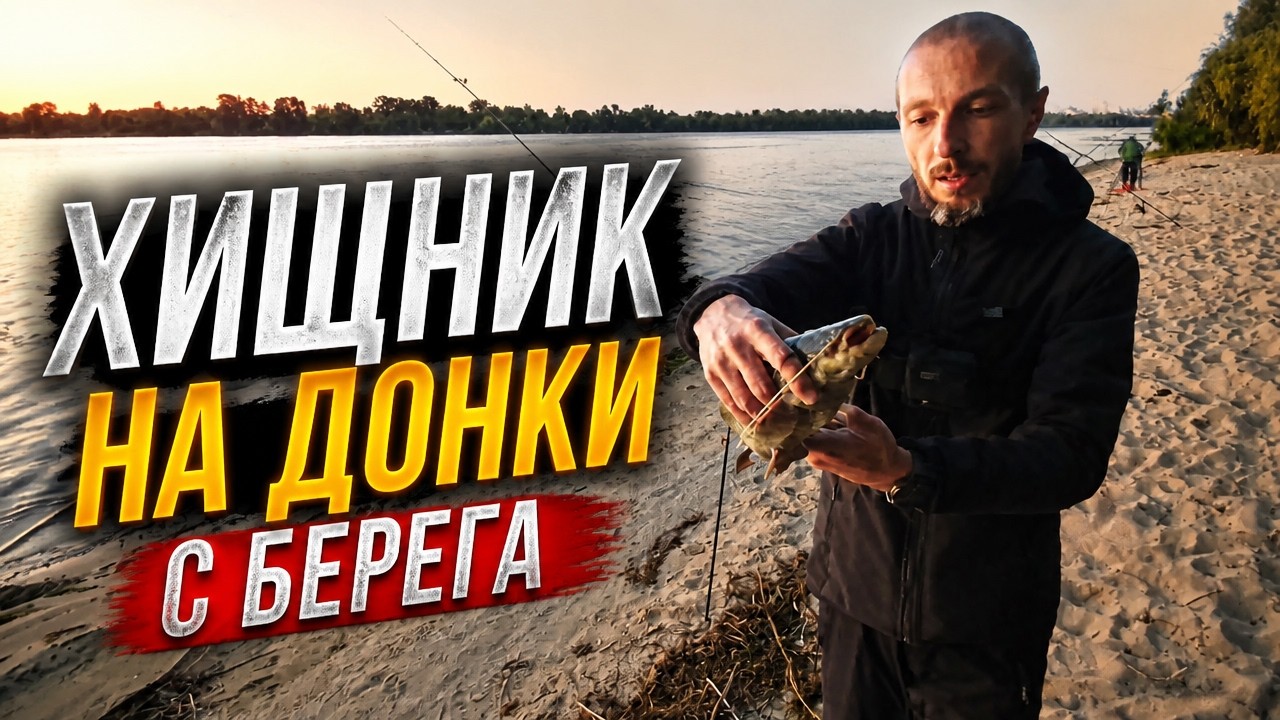 Ловля Хищника на Донки с Берега/Бывает и Такая Рыбалка/Видеоотчет Сентябрь 2023