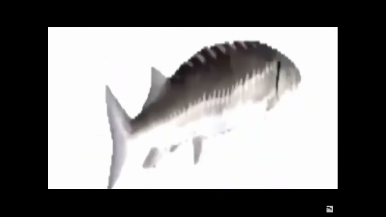 Spining fish