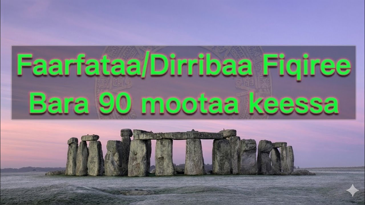 Dirribaa Fiqiree bara 90moota keessa