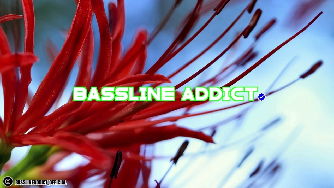 T2 - Butterflies (TS7 Remix)│BasslineAddict
