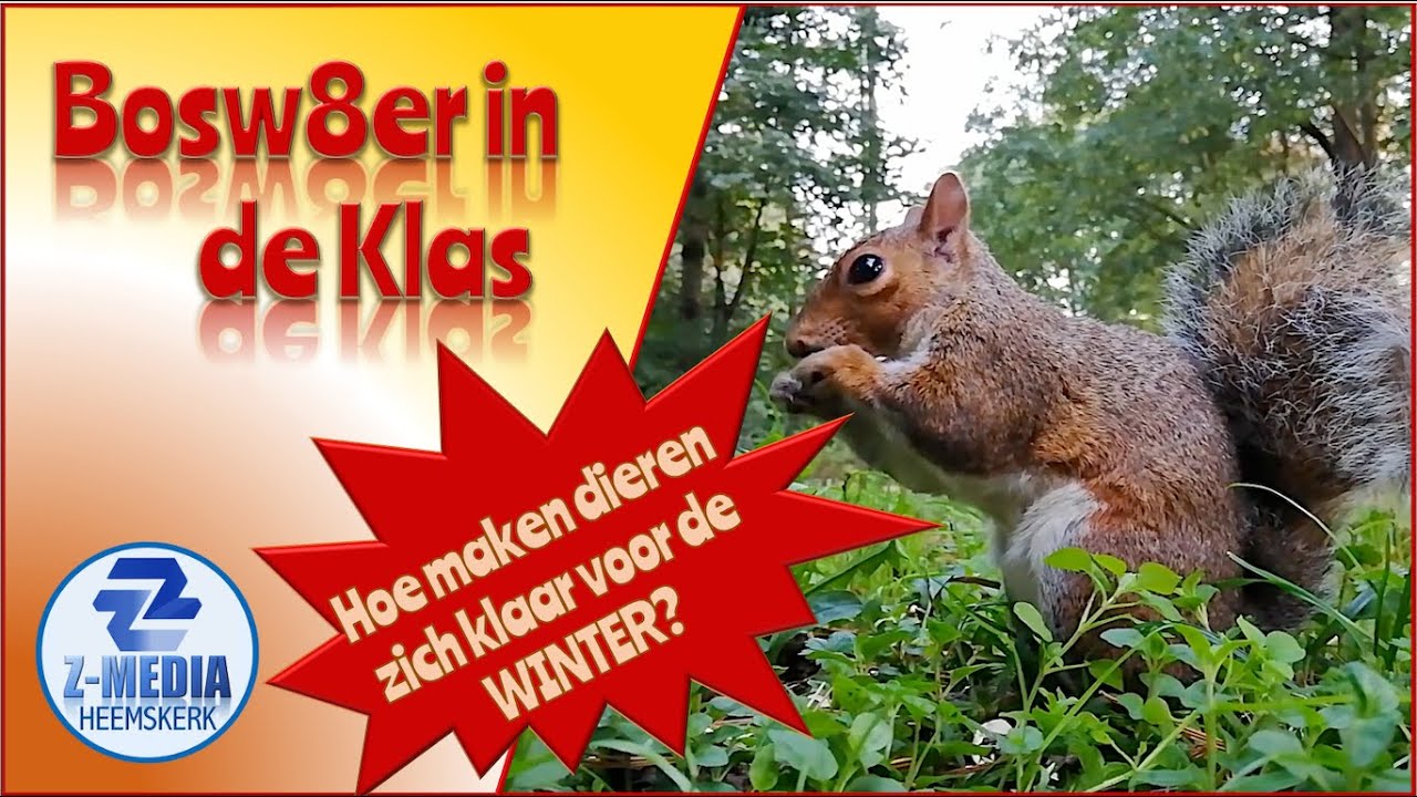Bosw8er in de Klas: Hoe bereiden dieren zich voor op de winter? (afl.29)4k