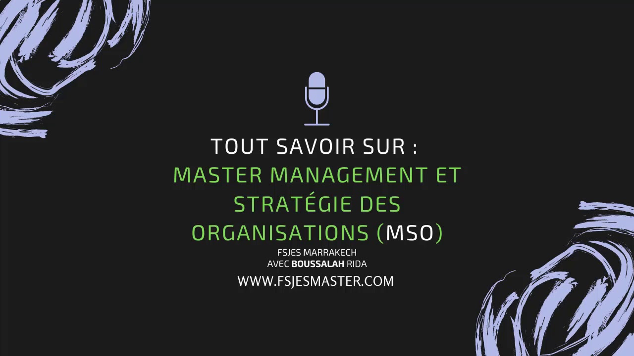 Tout savoir sur Master Management et Stratégie des Organisations (MSO) - Fsjes Marrakech