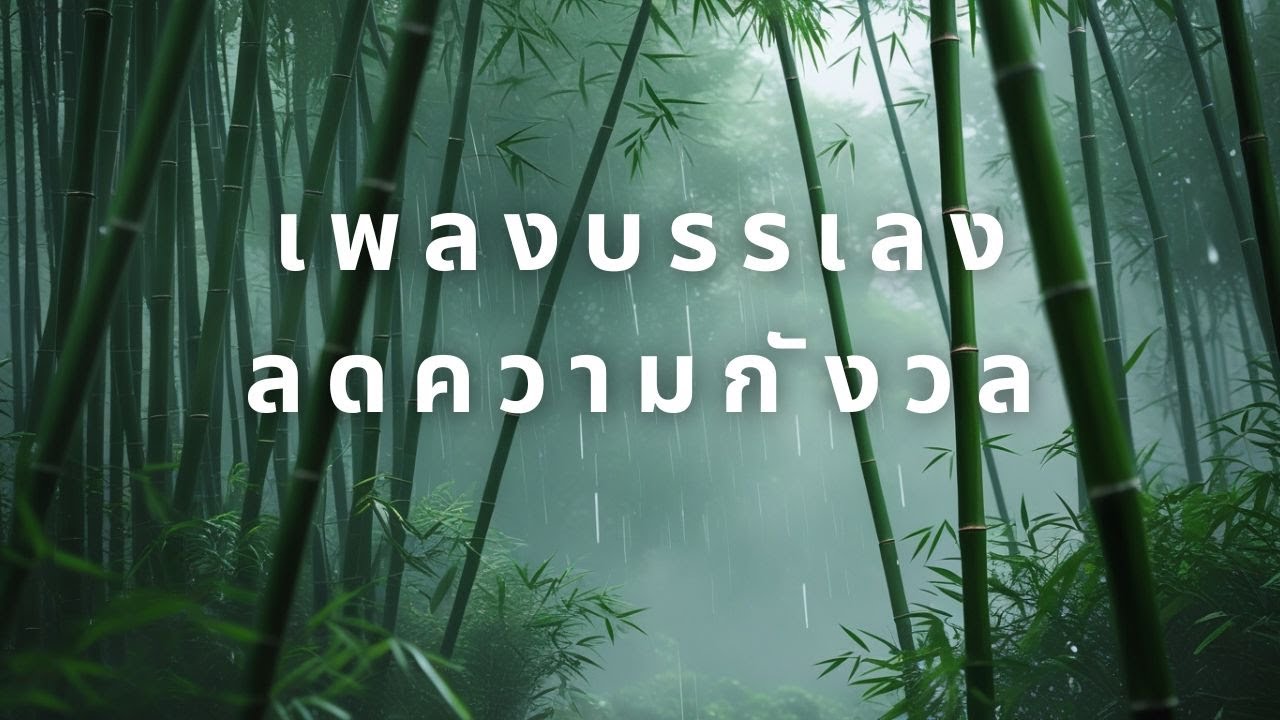 เพลงบรรเลงฟังง่าย ไม่ต้องคิดเยอะ | Relaxing Instrumental ฟังยาว ๆ