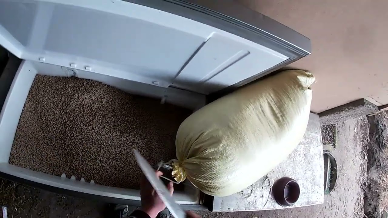 Zboże do silosów (sasieków) 😅