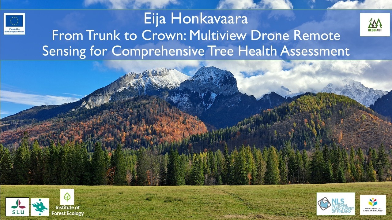 From Trunk to Crown: Multiview Drone Remote Sensing for Comprehensive Tree Health Assessment