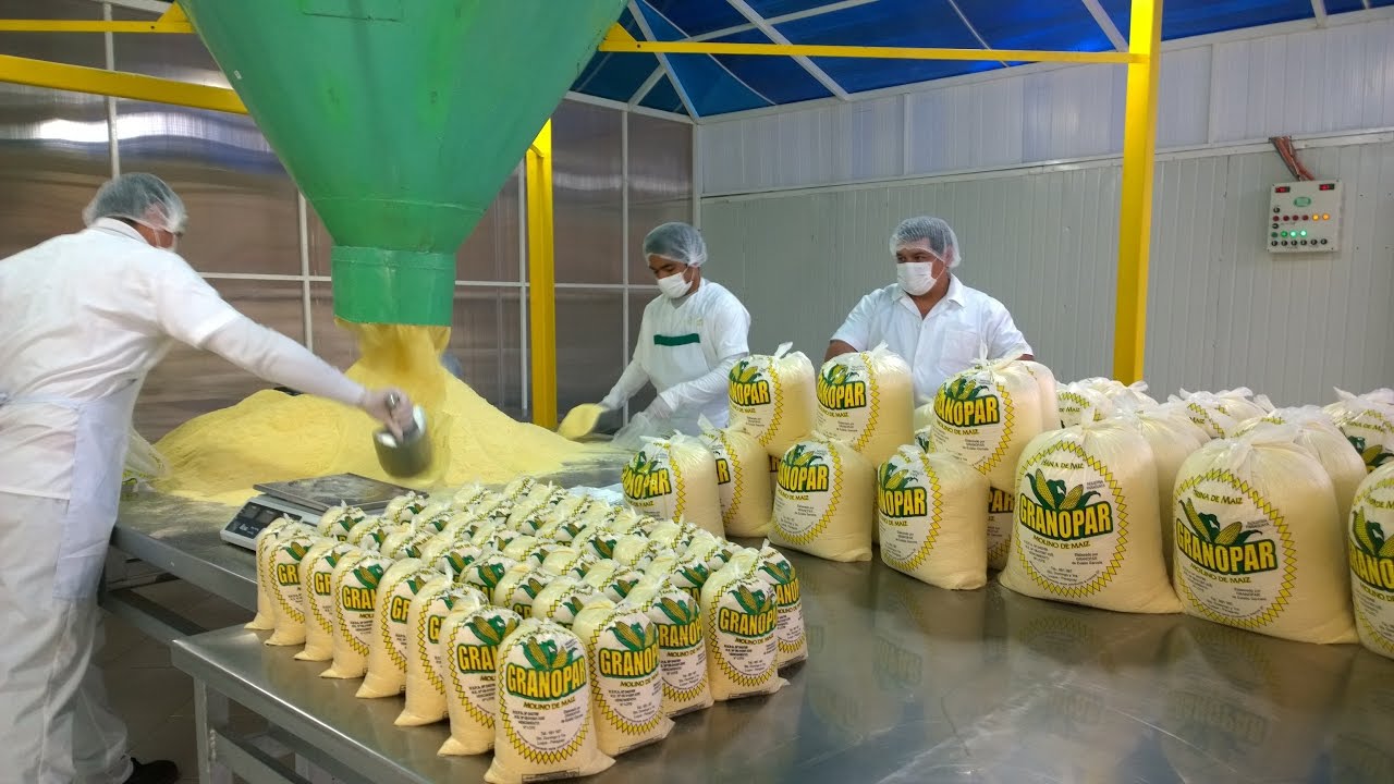SELLO NACIONAL 48 - GRANOPAR S.A. - HARINA DE MAÍZ, y masas para MBEJÚ, CHIPA y SOPA PARAGUAYA.