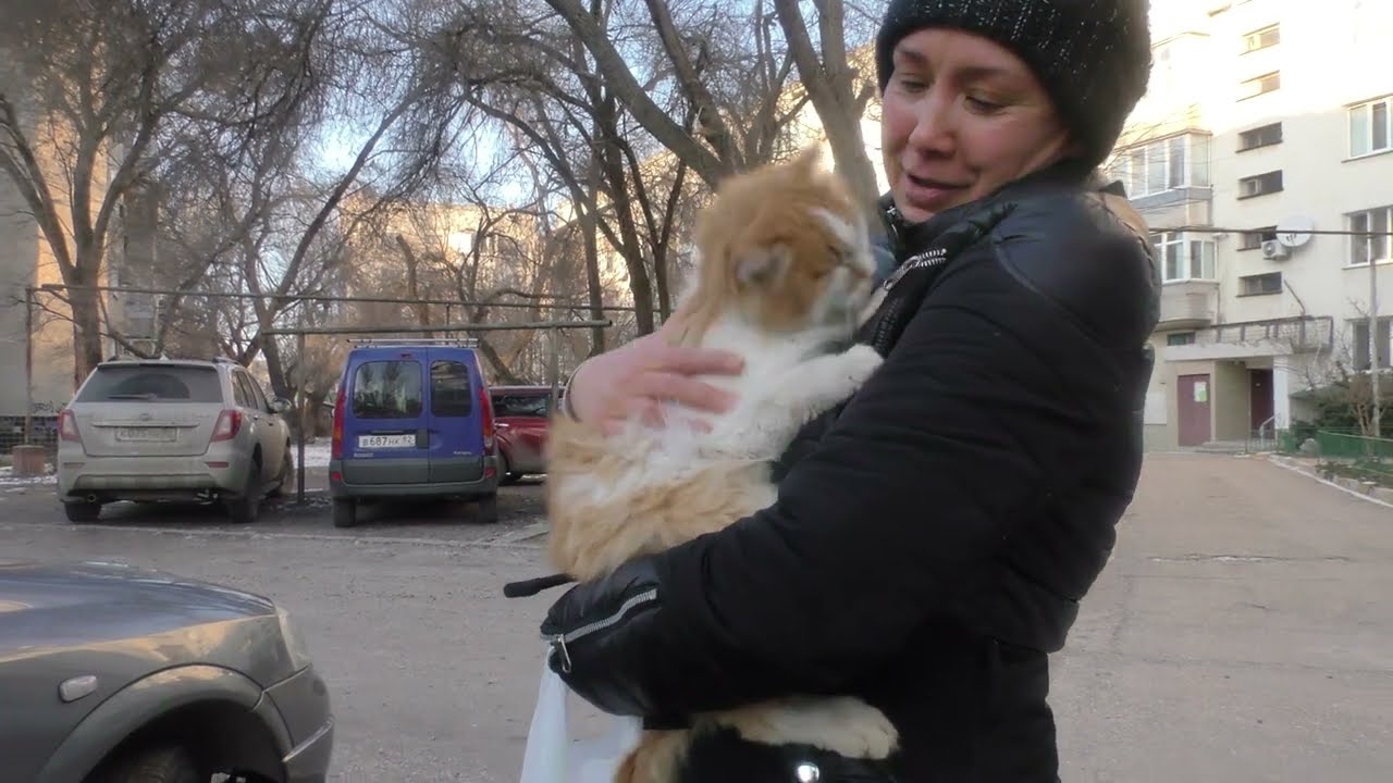 Феодосия, прогулка ул. Чкалова.