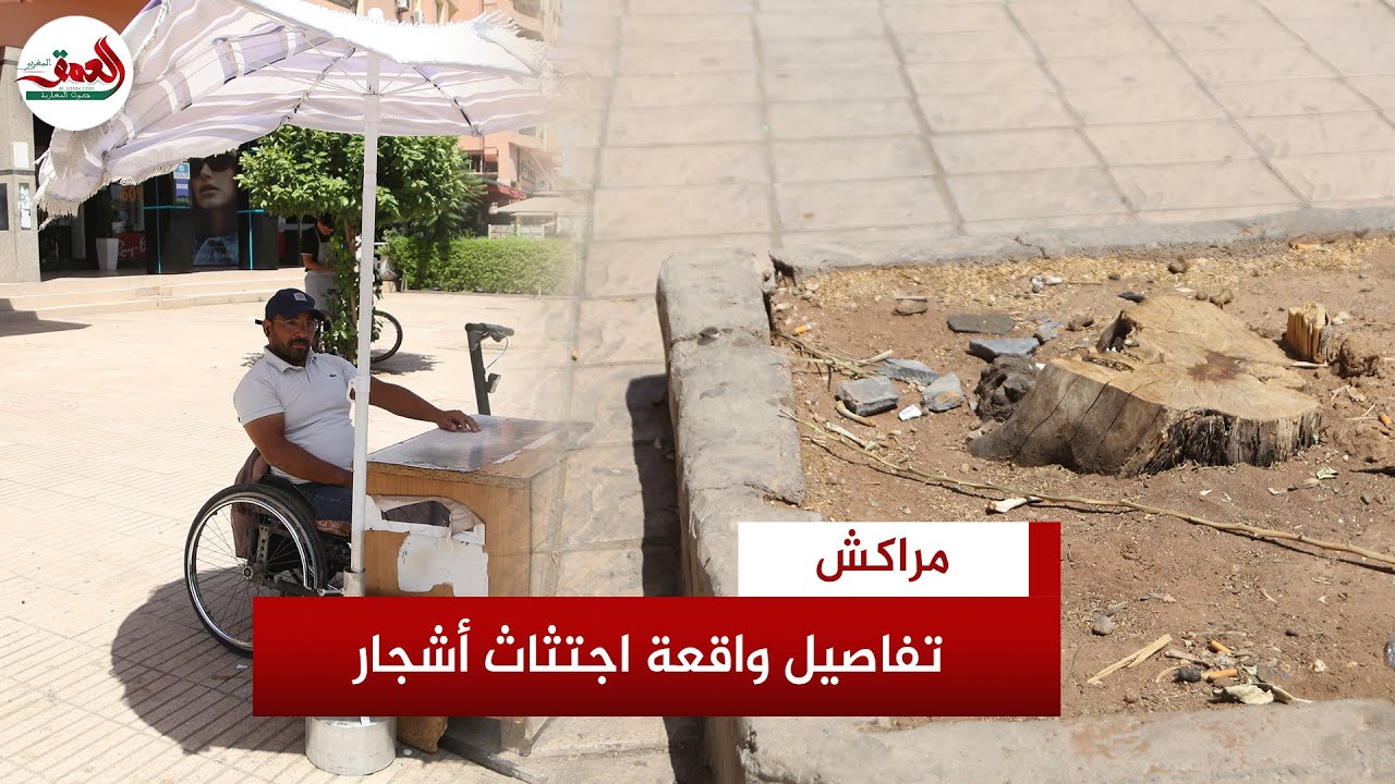 شاهد يروي تفاصيل واقعة اجتثاث أشجار بمراكش ويطالب السلطات بمحاسبة المتورطين في الجريمة