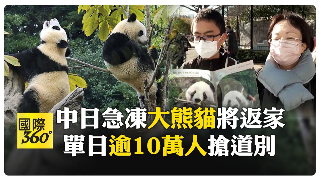 萌主