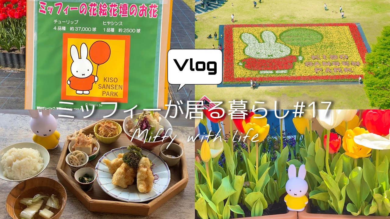 ［vlog］ミッフィーが居る暮らし#17 / 木曽三川公園のミッフィー花壇を見に来た / 古民家改装食堂『上木食堂』でランチ
