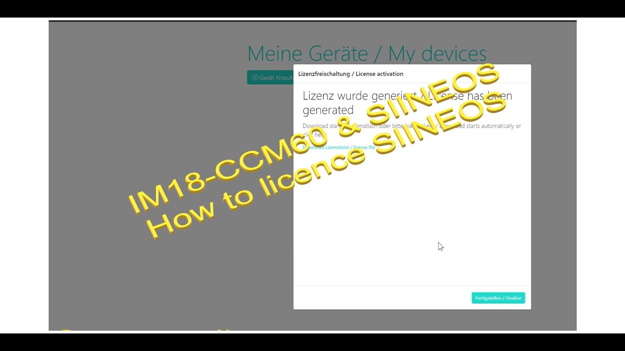 IM18-CCM60 & SIINEOS - How to license SIINEOS?
