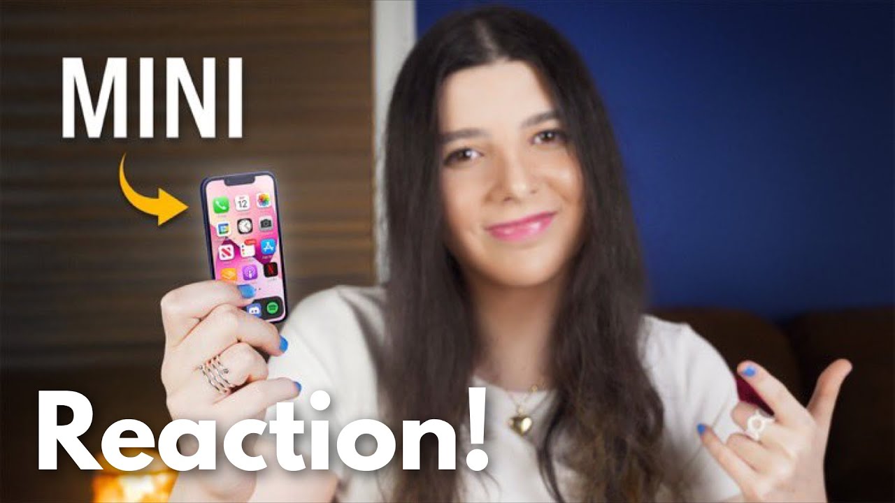 NBT Fan Reacts To 