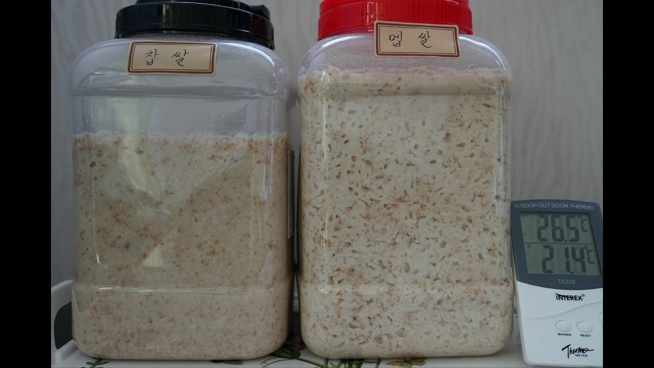 260배속(8시간), 6-1편, 3일후 덧술, 찹쌀 멥쌀 발효 비교 막걸리 Korean Rice Wine Brew (Makgeolli) Time lapse