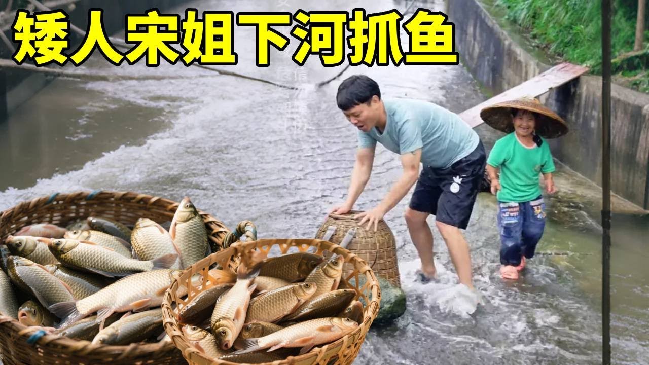 矮人宋姐和龙龙下河抓鱼，抓回来好几条直接拿来炖，太好吃了！#农村生活#抓鱼#袖珍人