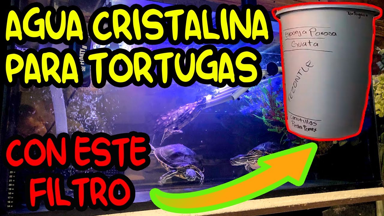 FILTRO PARA TORTUGAS CASERO 🐢❤️ COMO TENER AGUA CRISTALINA │ FILTRO DE CUBETA