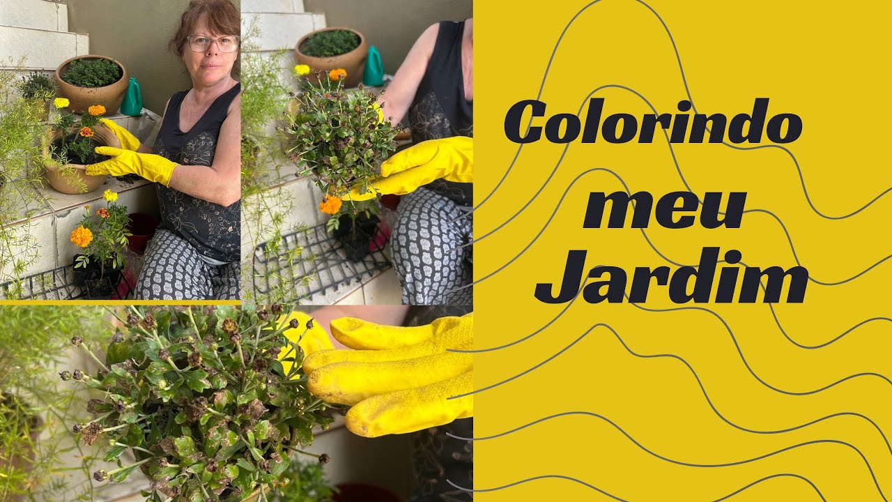Aquele dia de Dona de casa tentando ter um jardim florido 