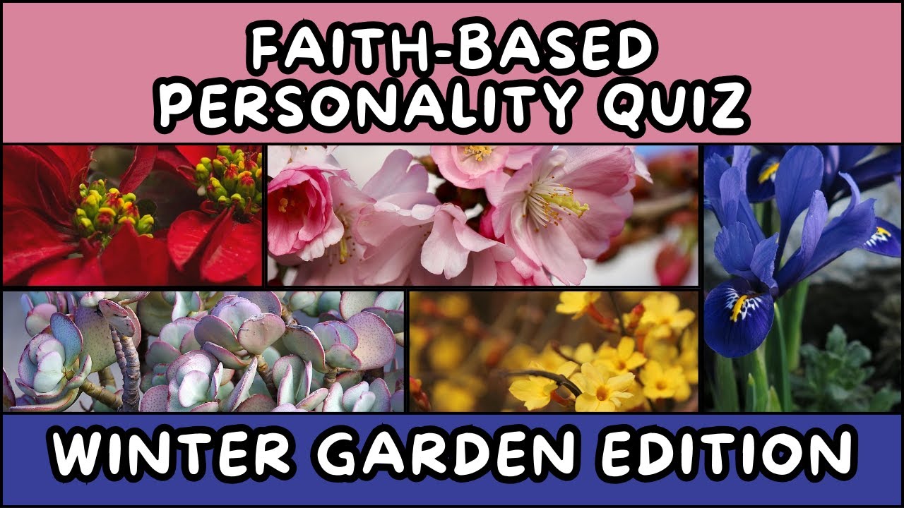 ✨Faith-Based Personality Quiz✨| Winter Garden Edition❄️🌱| Sow the Word Inspirations  