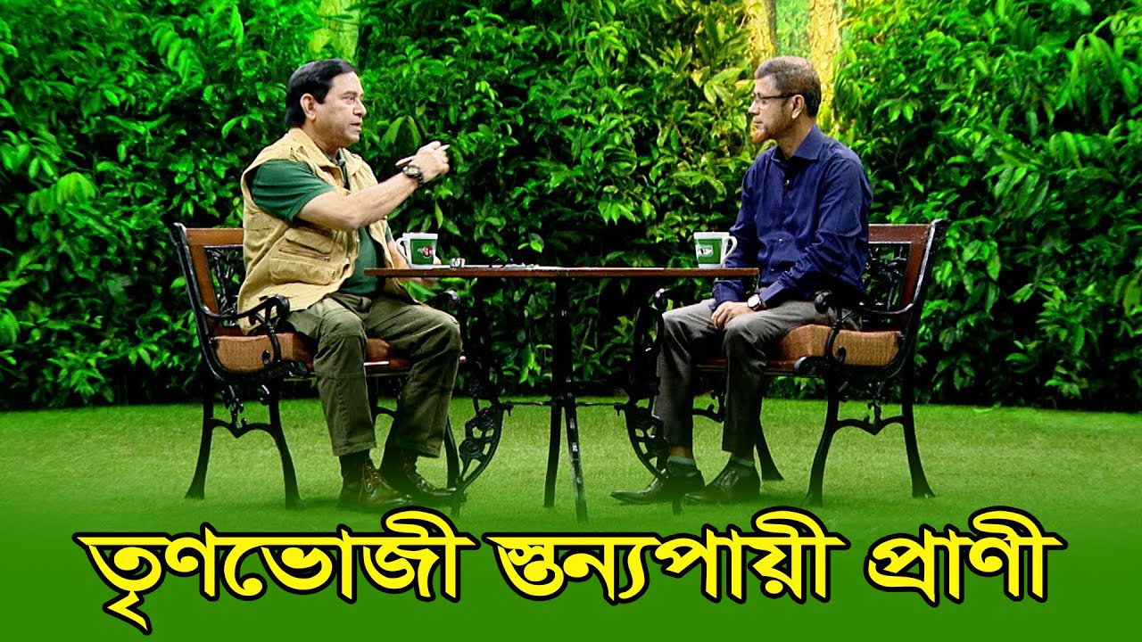 তৃণভোজী স্তন্যপায়ী প্রাণী | Herbivorous Mammals | EP 398