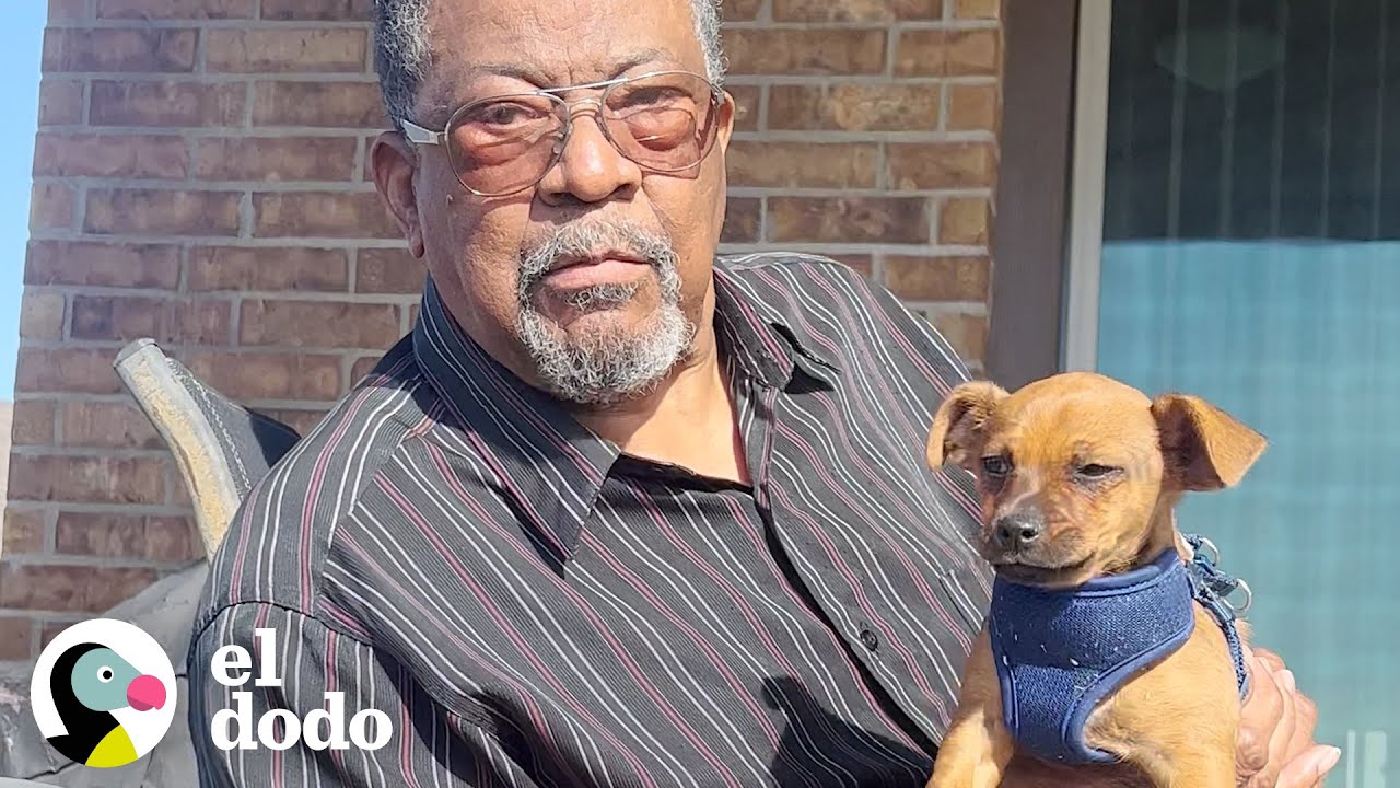 Abuelo está enamorado con su nuevo cachorro | El Dodo
