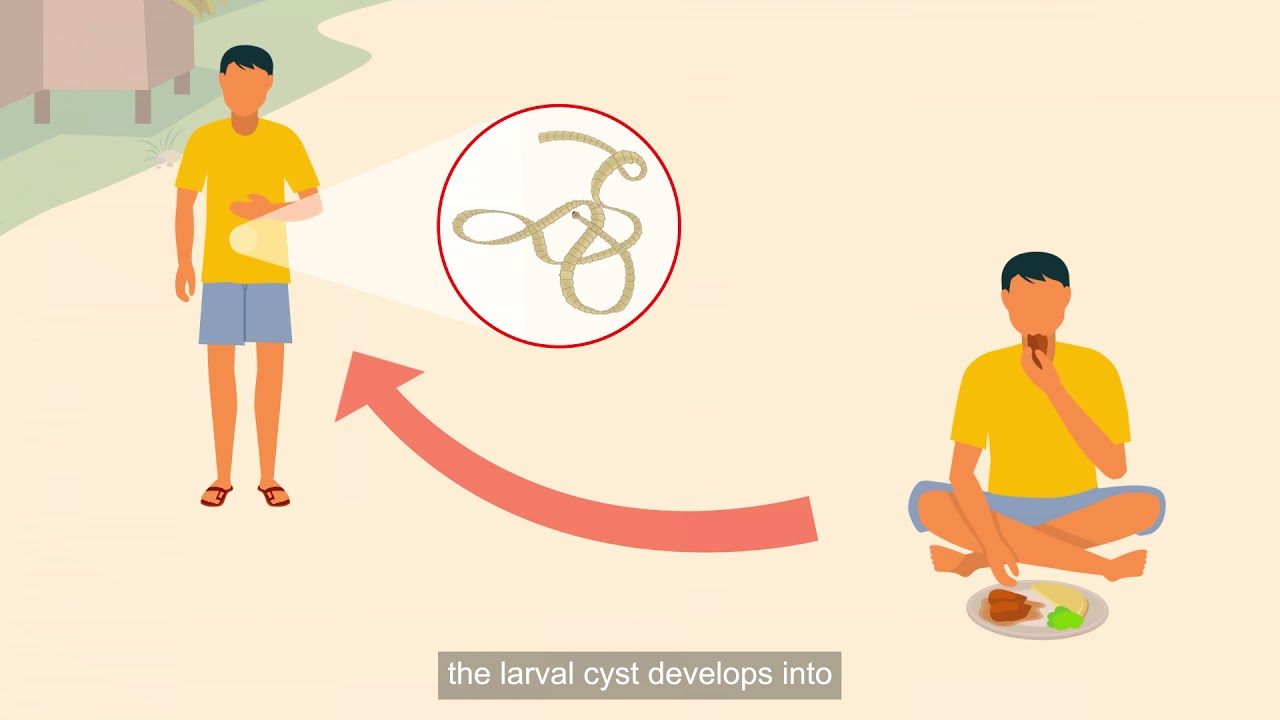 A One Health Approach to Tackling the Pork Tapeworm (English)