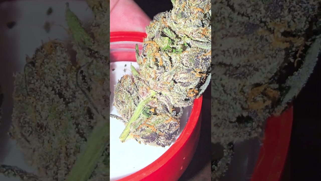 ✅️✅️✅️🎖🎖🎖🎖🎖LAX PACKS STRAIN CRUNCH BERRIES 🧟&zwj;♂️✨️⛽️🍪💓💓