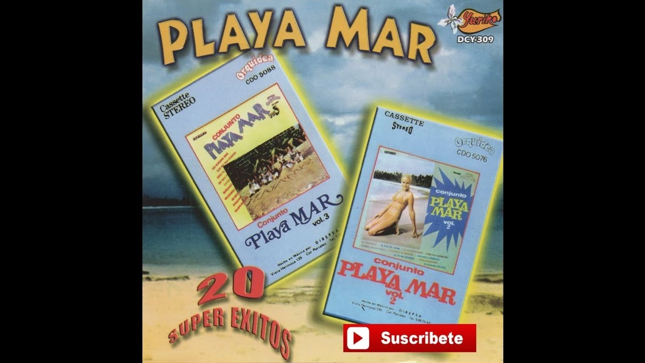 Playa Mar - Se Fue Mi Amor [Official Audio]