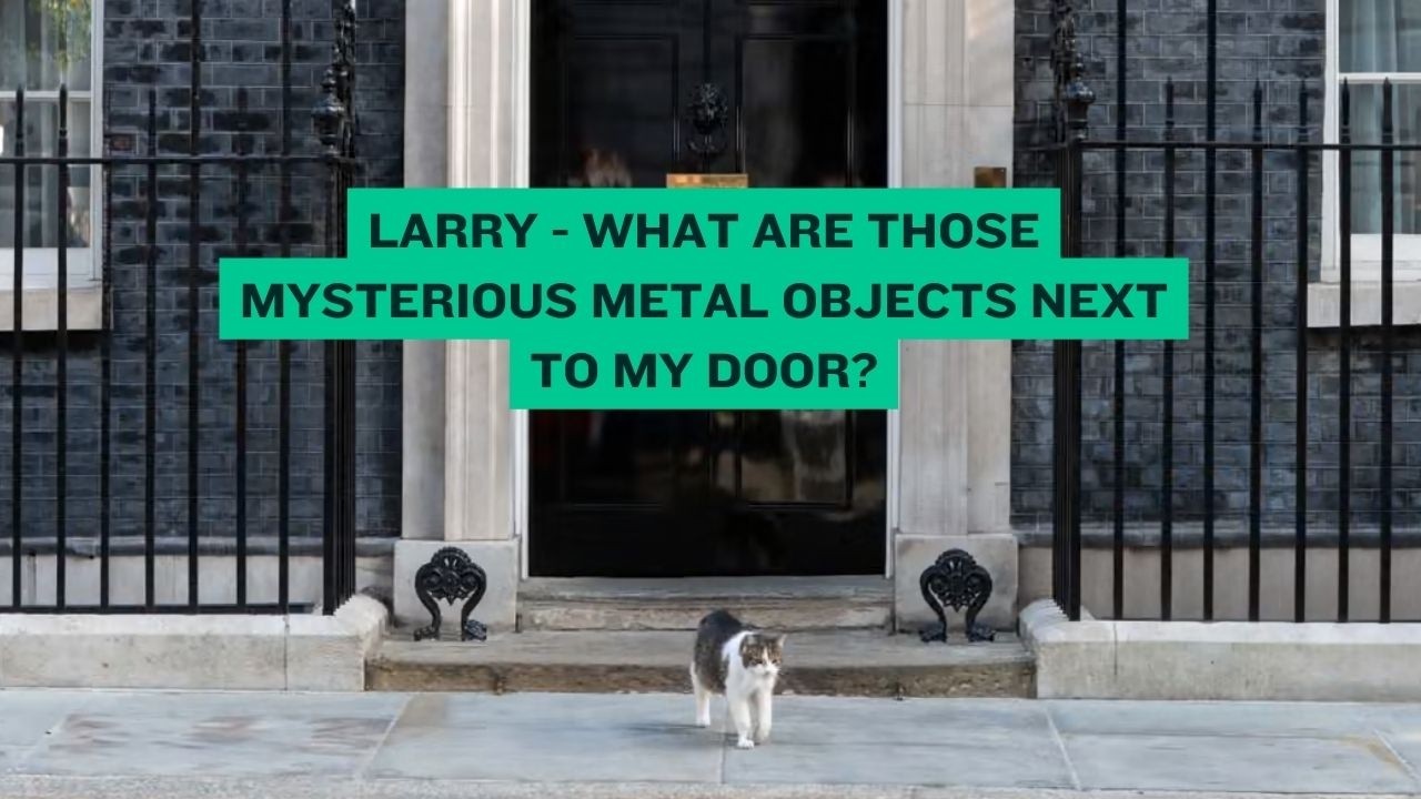 Larry, The Downing Street Cat - What Are Those Mysterious Metal Objects Next to My Door?