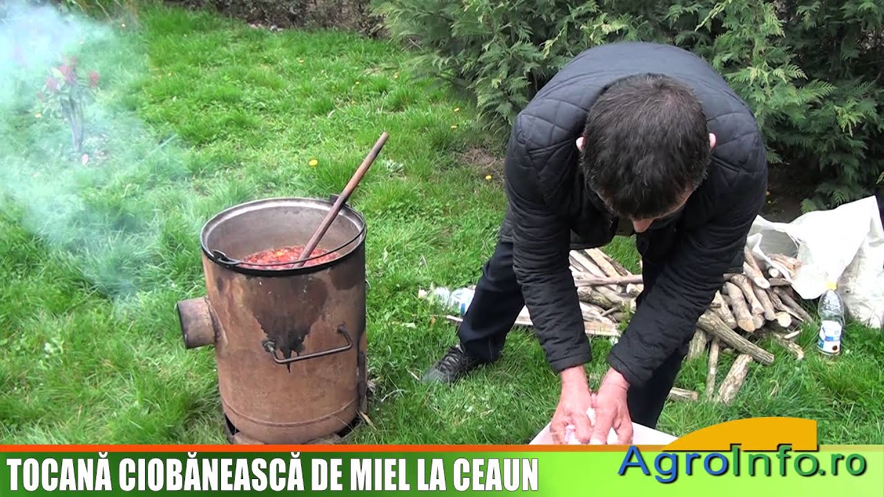 Tocana ciobaneasca de miel la ceaun